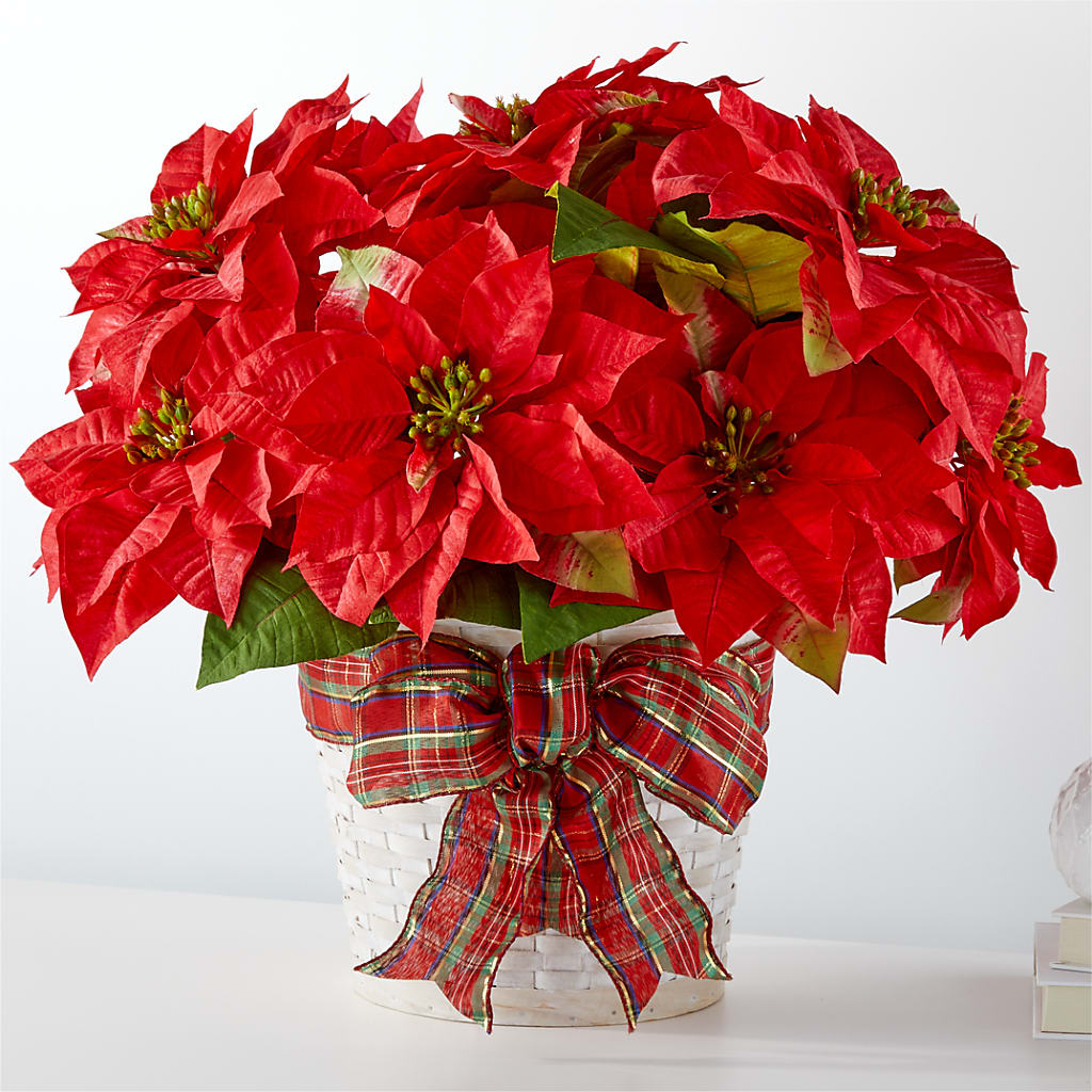 Happiest Holidays Poinsettia – Rainbow Floral, Lacey WA
