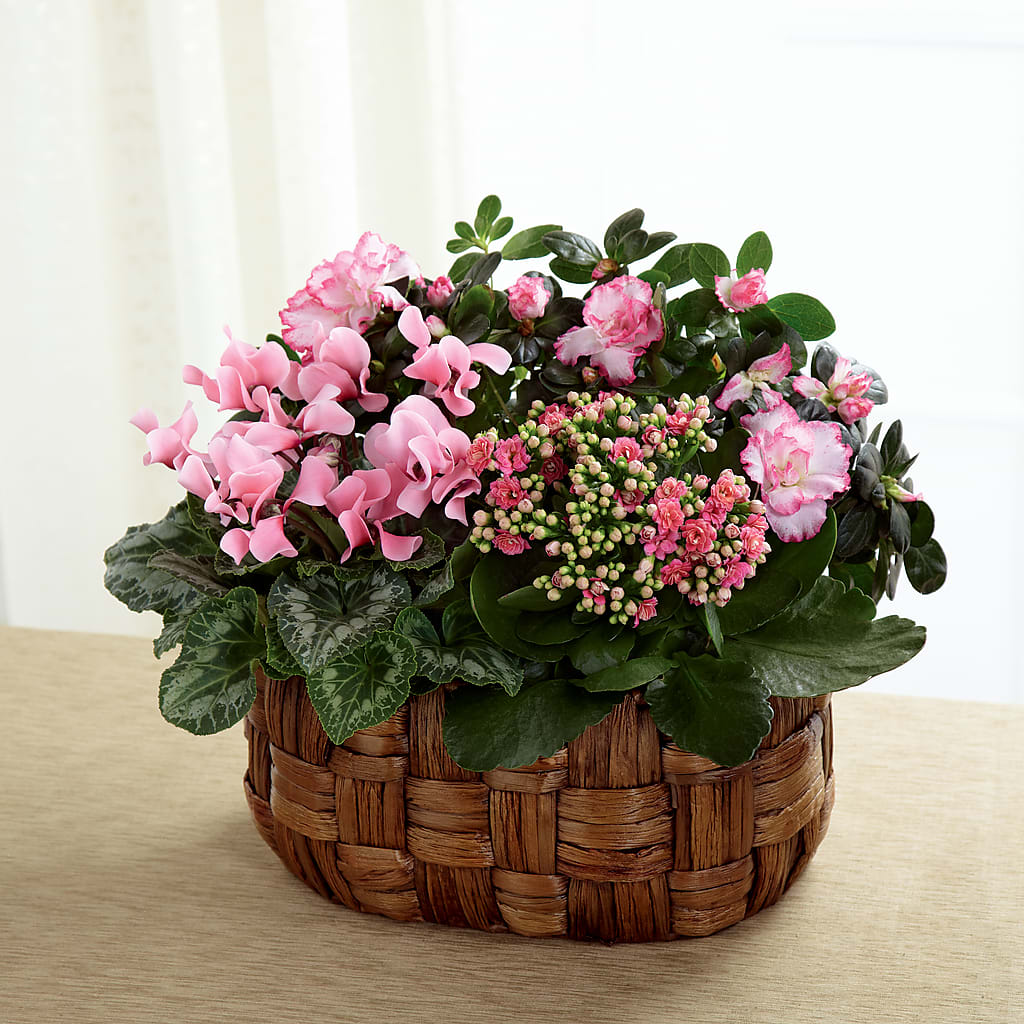 Pink Assortment – Rainbow Floral, Lacey WA