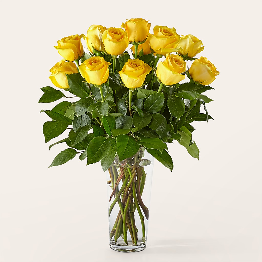 Long Stem Yellow Rose Bouquet – Rainbow Floral, Lacey WA