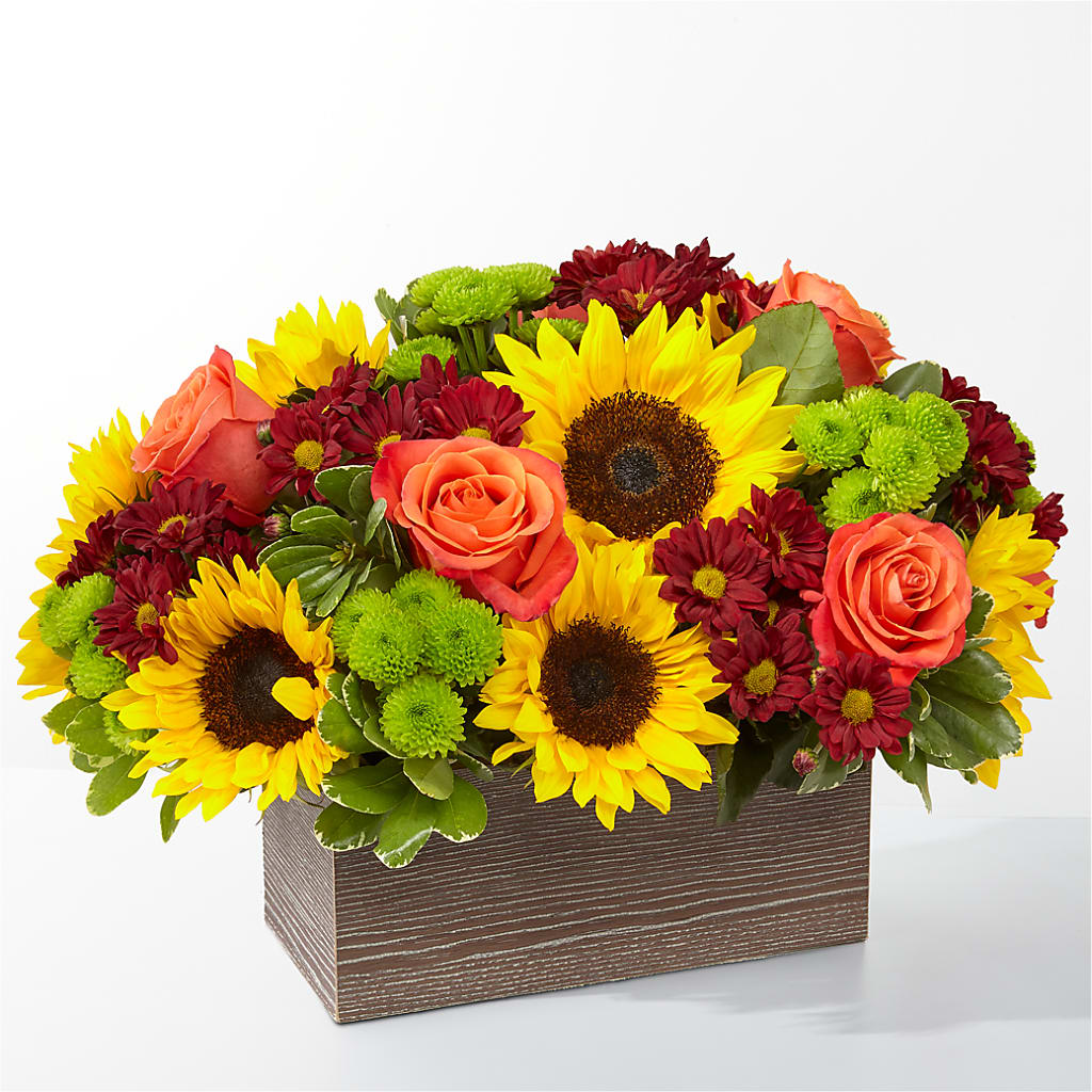 Happy Harvest Garden – Rainbow Floral, Lacey WA