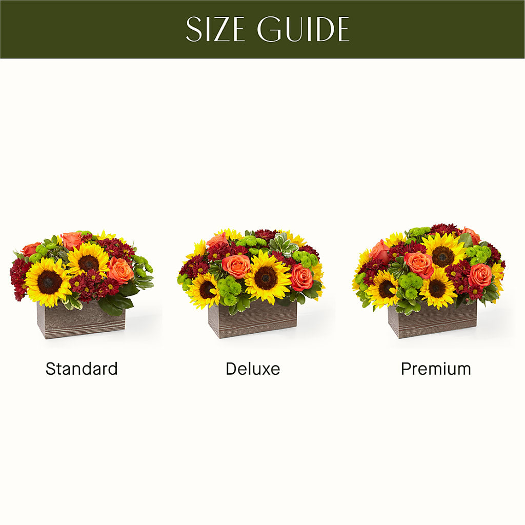 Happy Harvest Garden – Rainbow Floral, Lacey WA