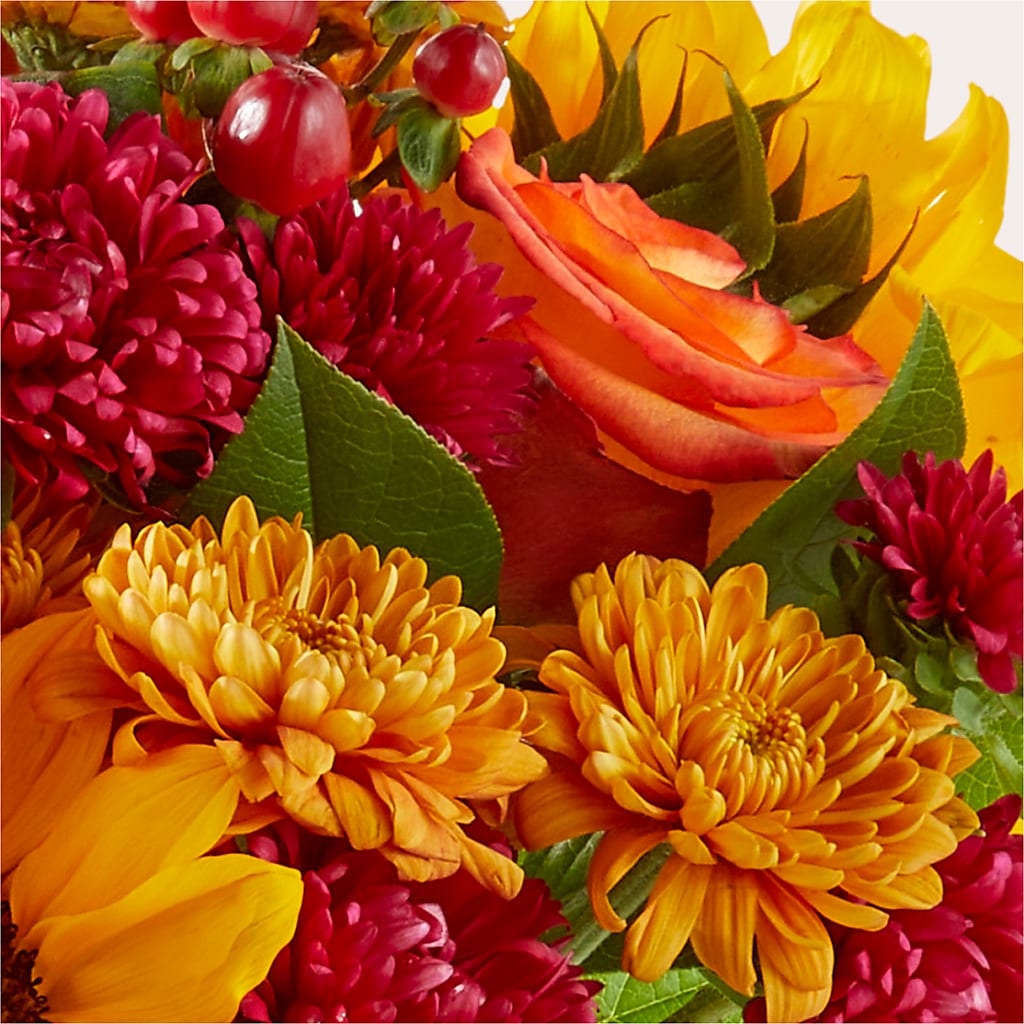Sweater Season - A Florist Original – Rainbow Floral, Lacey WA