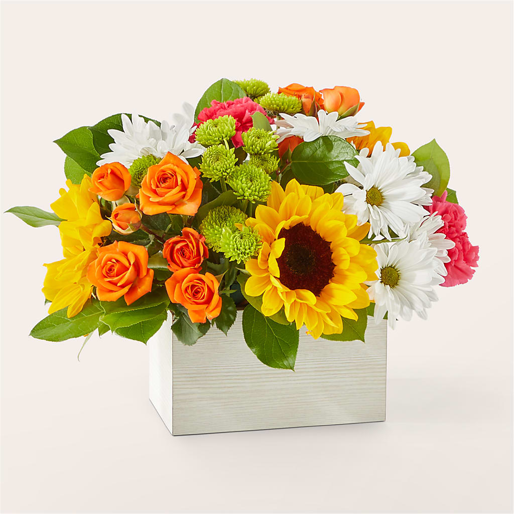 Sun-drenched Blooms Box Bouquet – Rainbow Floral, Lacey WA