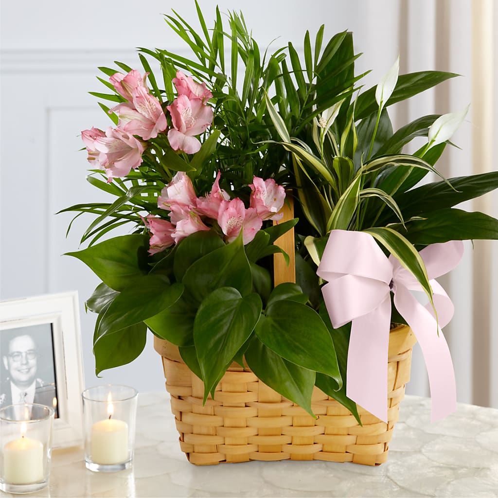 Living Spirit Dishgarden – Rainbow Floral, Lacey WA