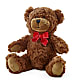 Adorable Plush Bear –  Rainbow Floral, Lacey WA