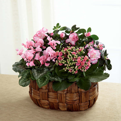 Pink Assortment –  Rainbow Floral, Lacey WA