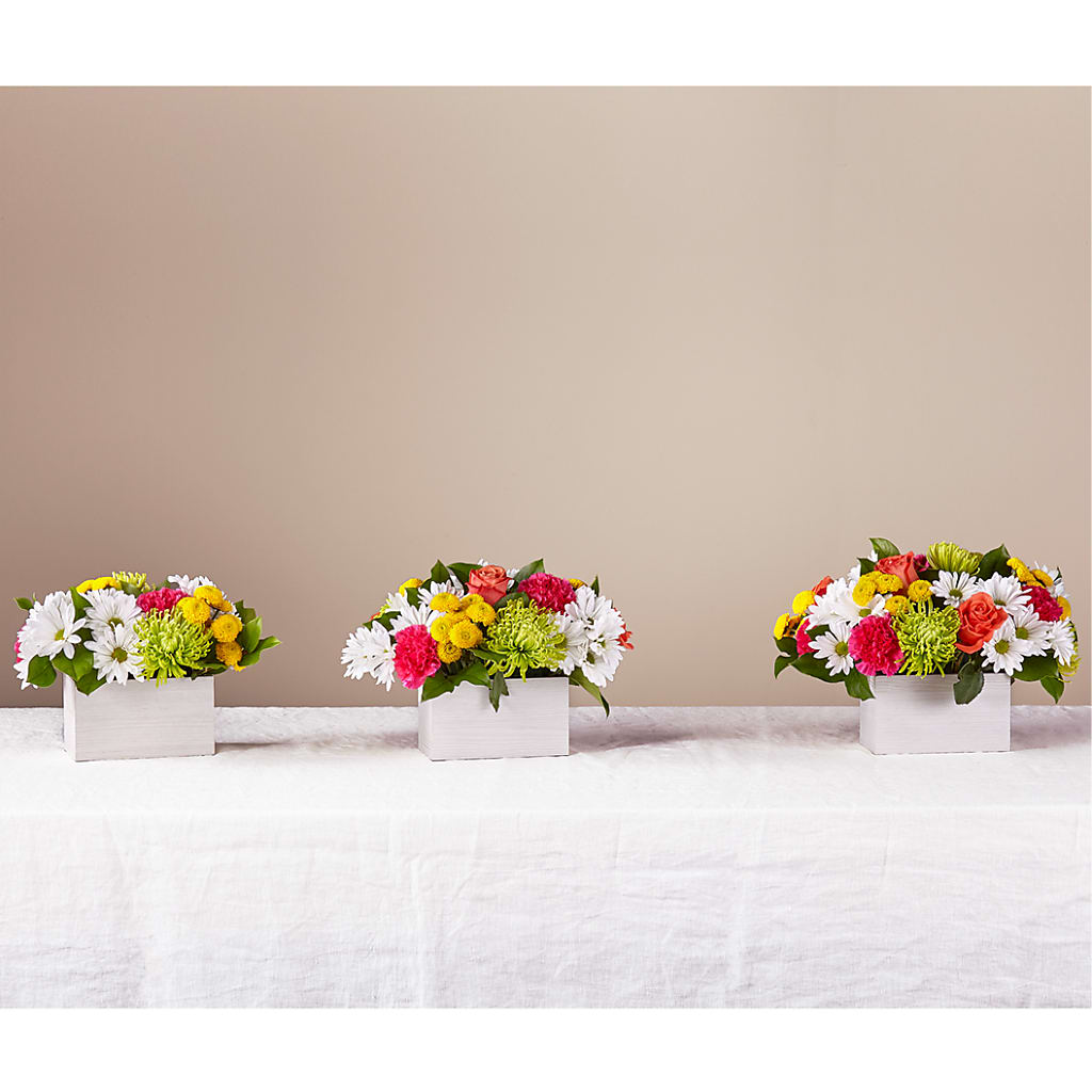Sorbet Bouquet –  Rainbow Floral, Lacey WA