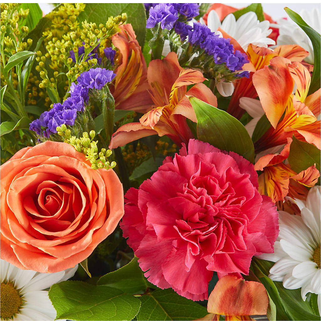 Oopsie Daisy Box Bouquet –  Rainbow Floral, Lacey WA