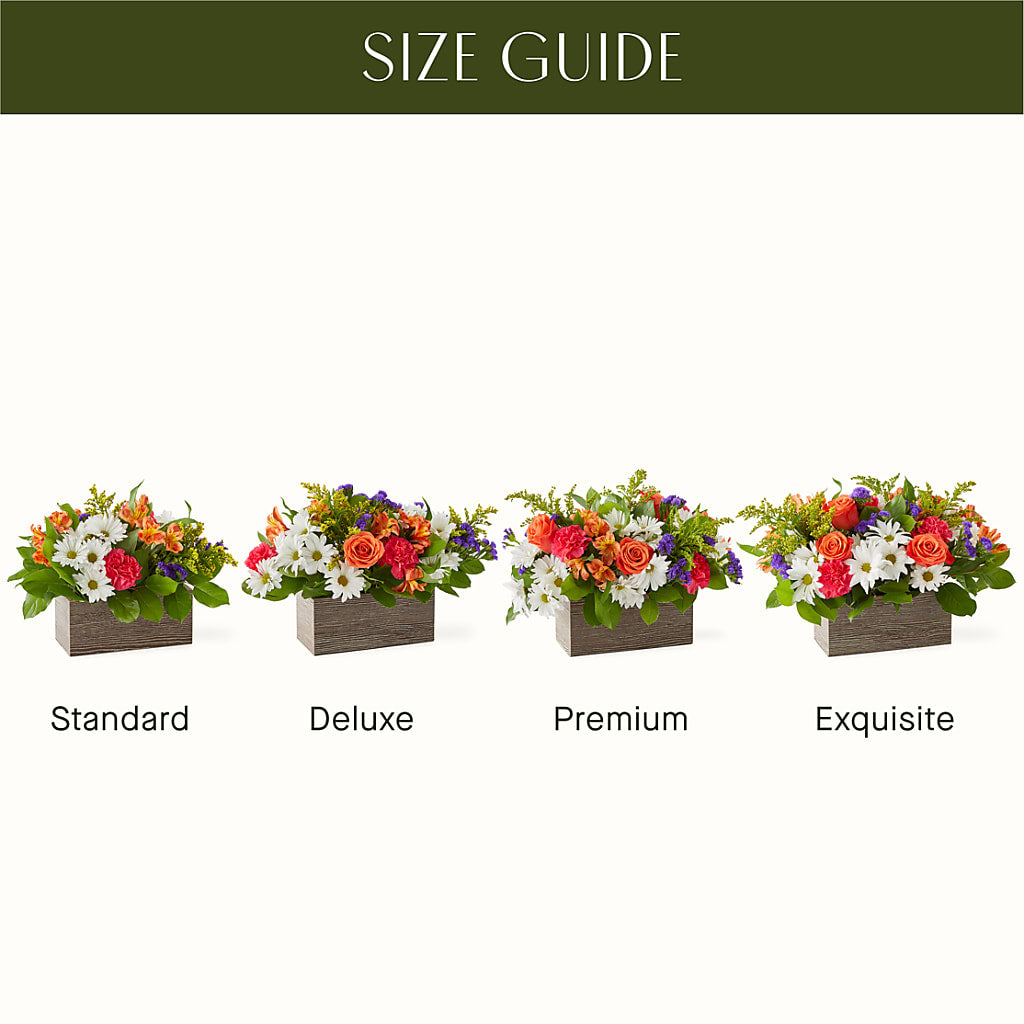 Oopsie Daisy Box Bouquet –  Rainbow Floral, Lacey WA