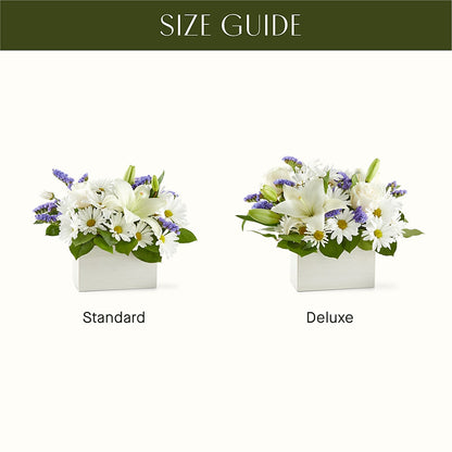 Beyond Blue Box Bouquet –  Rainbow Floral, Lacey WA