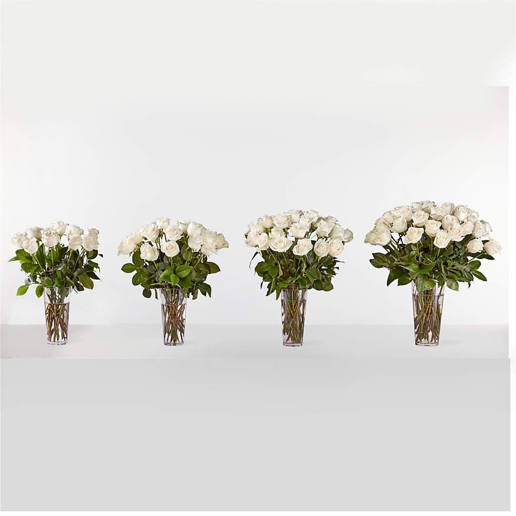 Long Stem White Rose Bouquet –  Rainbow Floral, Lacey WA