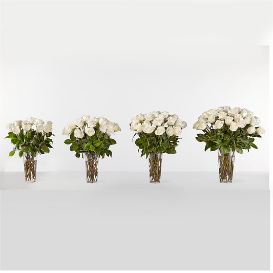 Long Stem White Rose Bouquet –  Rainbow Floral, Lacey WA