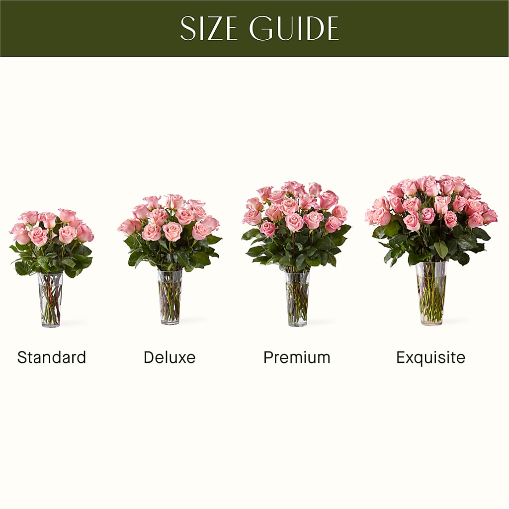 Long Stem Pink Rose Bouquet –  Rainbow Floral, Lacey WA
