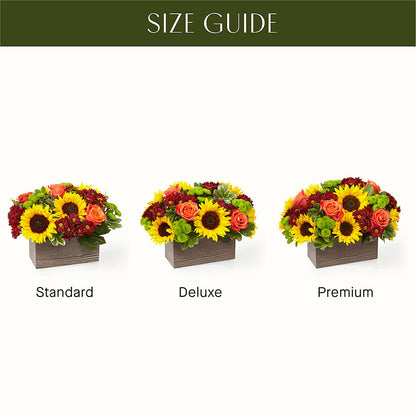 Happy Harvest Garden –  Rainbow Floral, Lacey WA