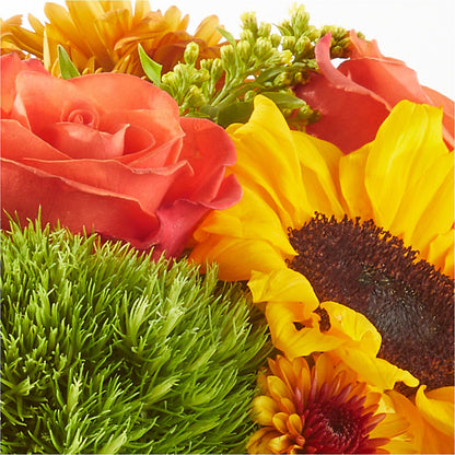Farmer’s Market Stroll Bouquet –  Rainbow Floral, Lacey WA