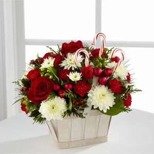 Candy Cane Lane Bouquet –  Rainbow Floral, Lacey WA