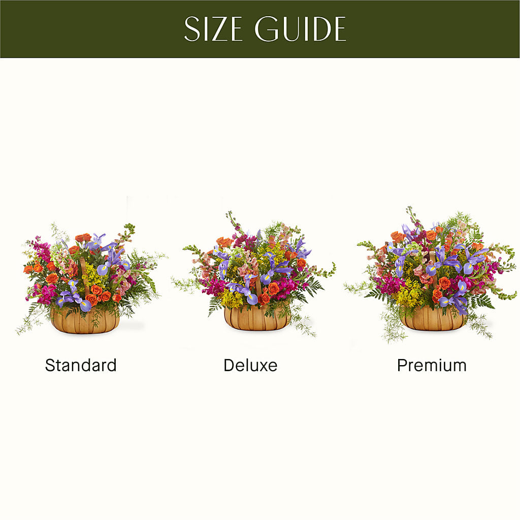 Garden of Life Basket –  Rainbow Floral, Lacey WA