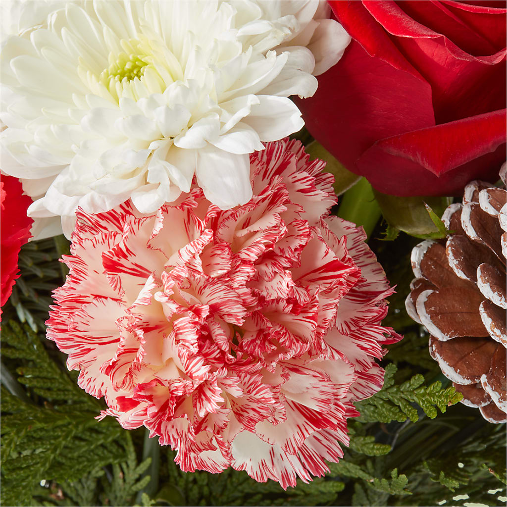Candy Cane Lane Bouquet –  Rainbow Floral, Lacey WA